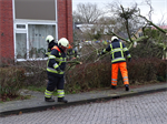 Prio 2 Stormschade Hanegraafweg Noardburgum